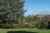 559 Spencer Road photo 9