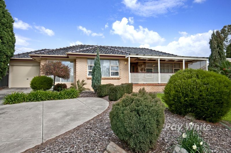 443 Grenfell Road, Banksia Park SA 5091