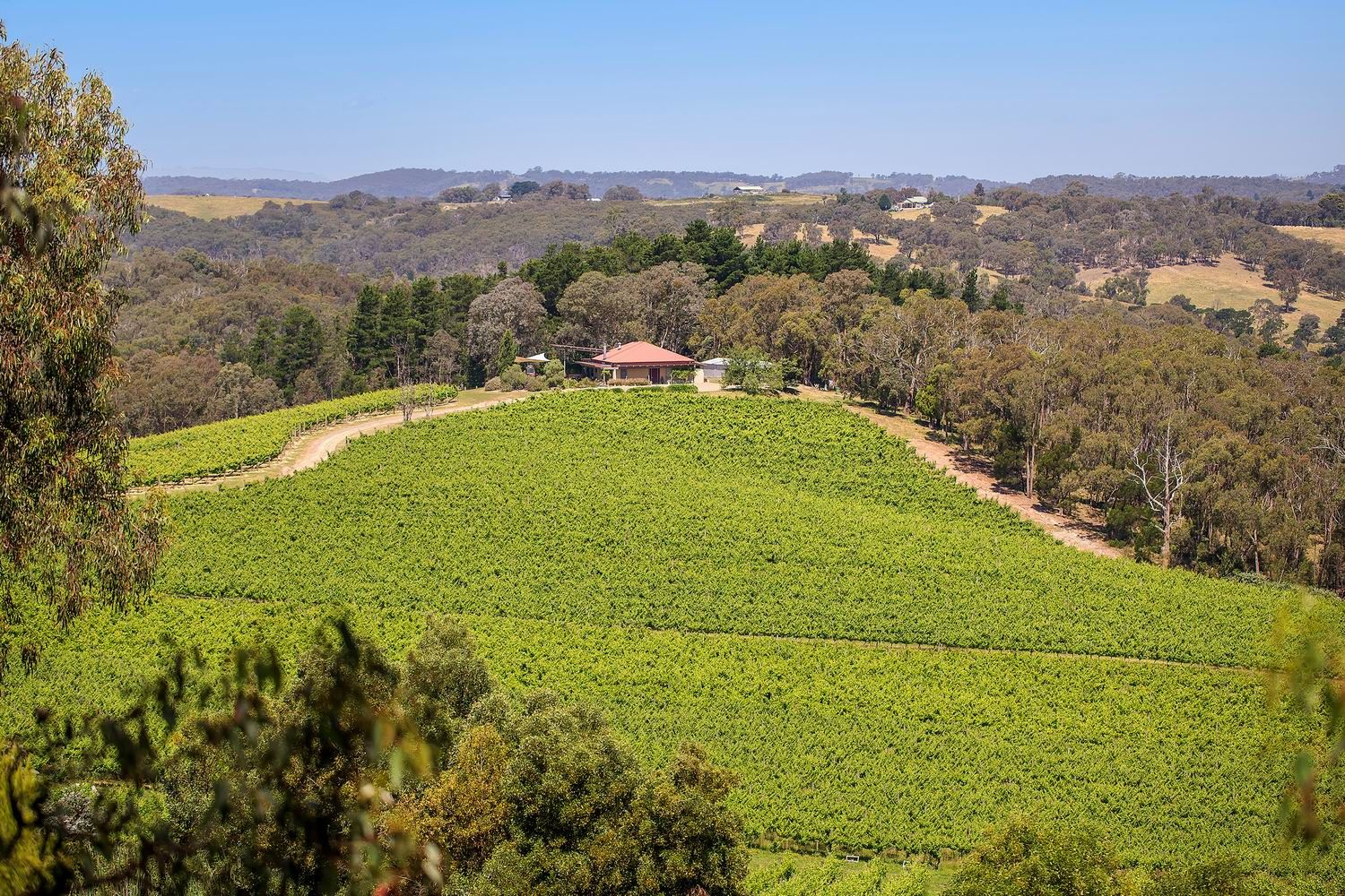 40 Howards Road, PANTON HILL VIC 3759