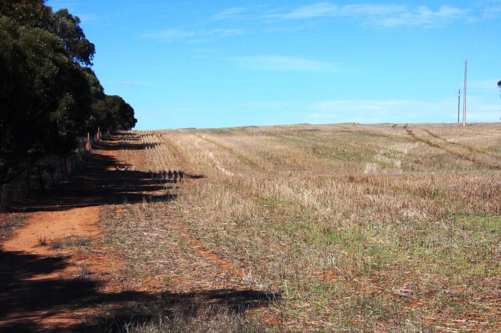 Lot 4 Brook Road, Woodchester, SA 5255