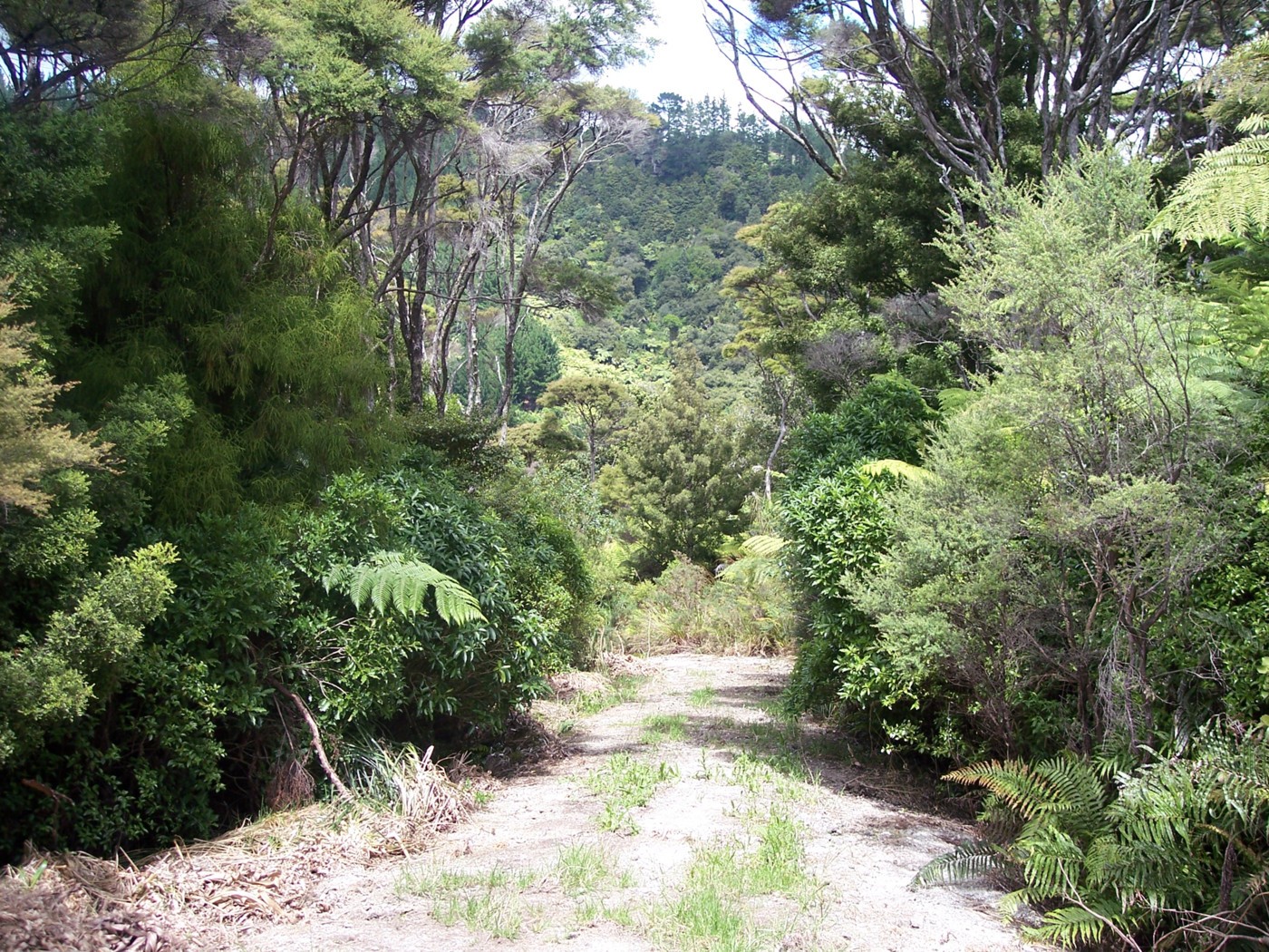 271 Moir Hill Road, Warkworth, Rodney