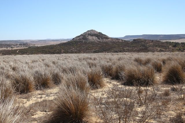 Lot 266 Brown Lane, White Peak, WA 6532