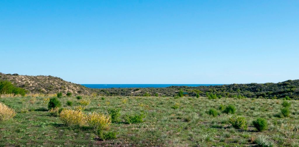 30 African Reef Boulevard, Greenough, WA 6532