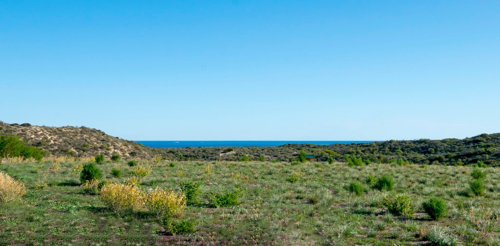30 African Reef Boulevard, Greenough, WA 6532