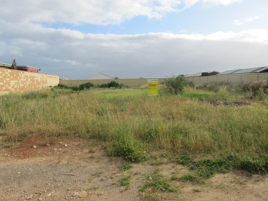 12 Flavio Crescent, Wandina, WA 6530