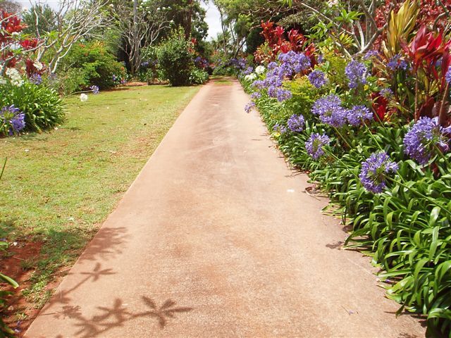 16 Orme Road, BUDERIM, QLD 4556