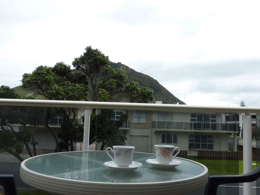 20 Grace Avenue, Mt Maunganui, Tauranga City