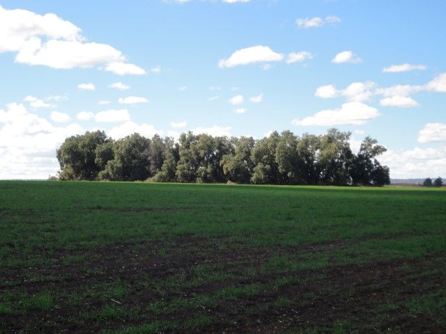 "Lochlea" Mason Road, Bowenville, QLD 4404