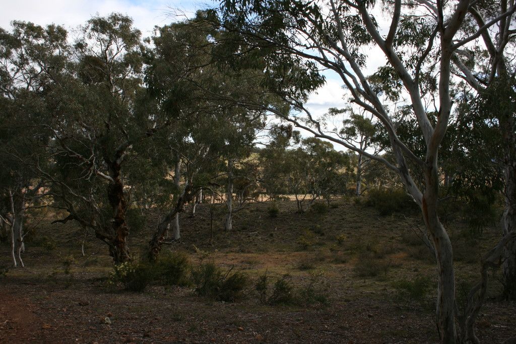 138 Ayre Drive, Bungonia, NSW 2580