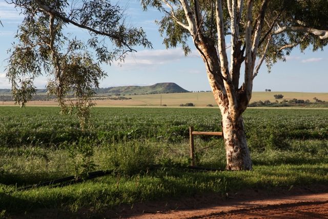 Lot 313 Dorset Drive, DEEPDALE, WA 6532