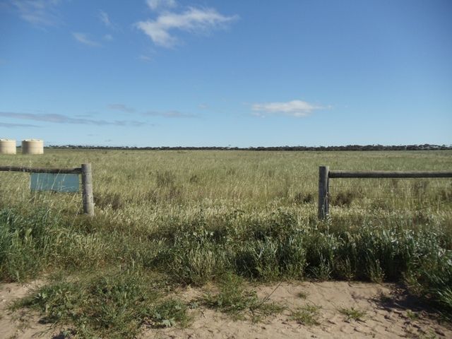 24 Falie Drive, PRICE, SA 5570