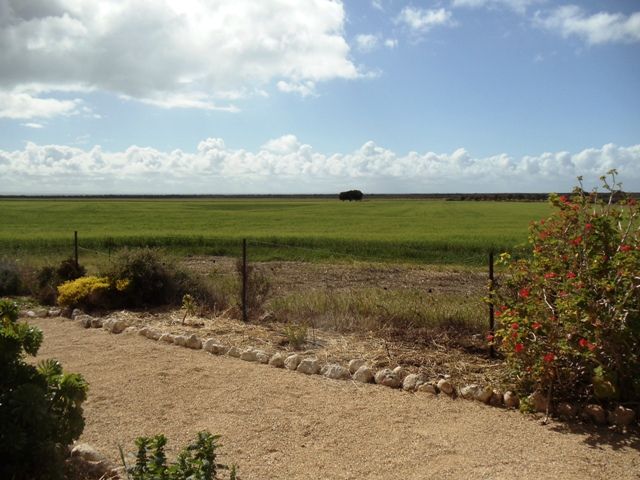4281 Old Boundary Road, PRICE, SA 5570