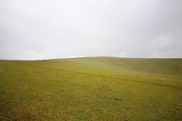 Range Road, Eudunda, SA 5374