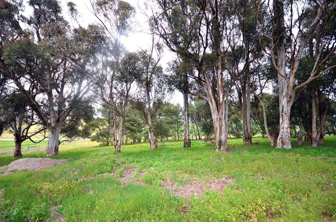 Lot 4 Iron Mine Road HANSON via, Burra, SA 5417