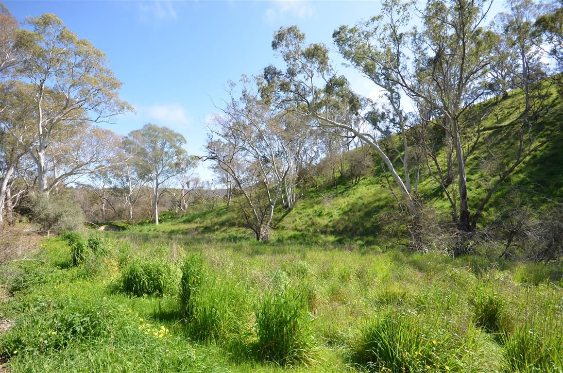 Lot 4 Campbell Road, Penwortham, SA 5453