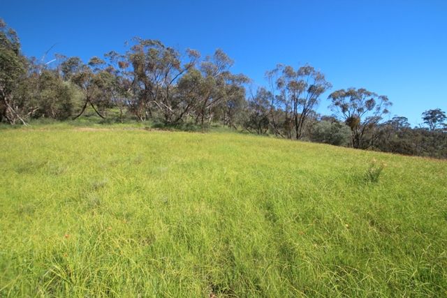 56 Bennys Hill Road, Clare, SA 5453