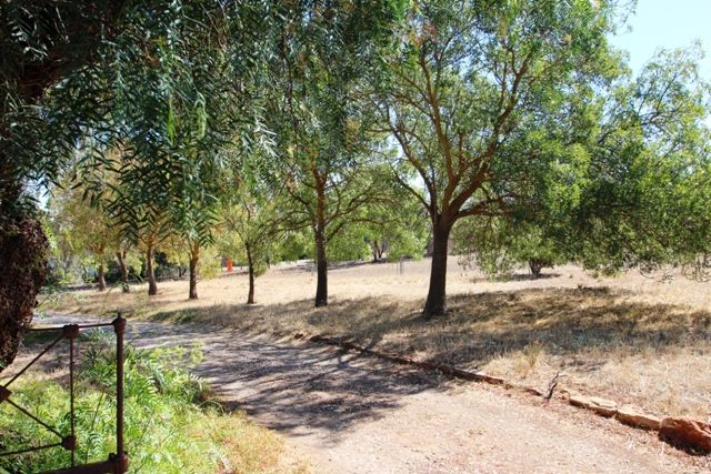 Lot 80 Kingston Terrace, Auburn, SA 5451