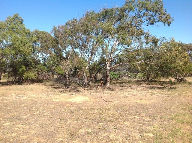41 Webber Road, Moresby, WA 6530