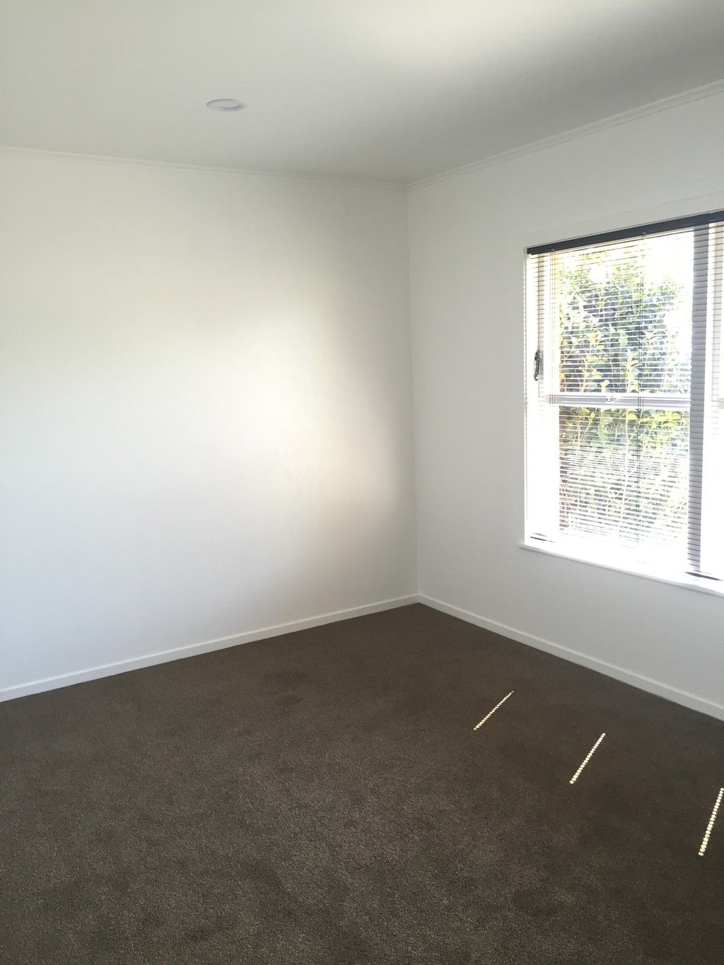 1/27 Puriri Avenue, Greenlane, Auckland City
