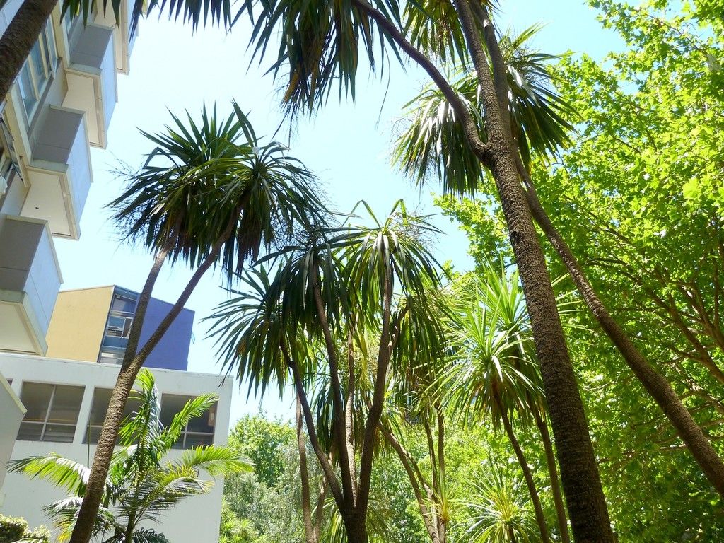 6E/109 Vincent Street, Auckland Central, Auckland City