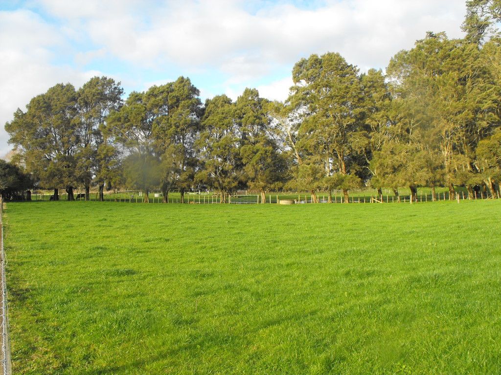 49 Collie Road, Te Kowhai, Hamilton City