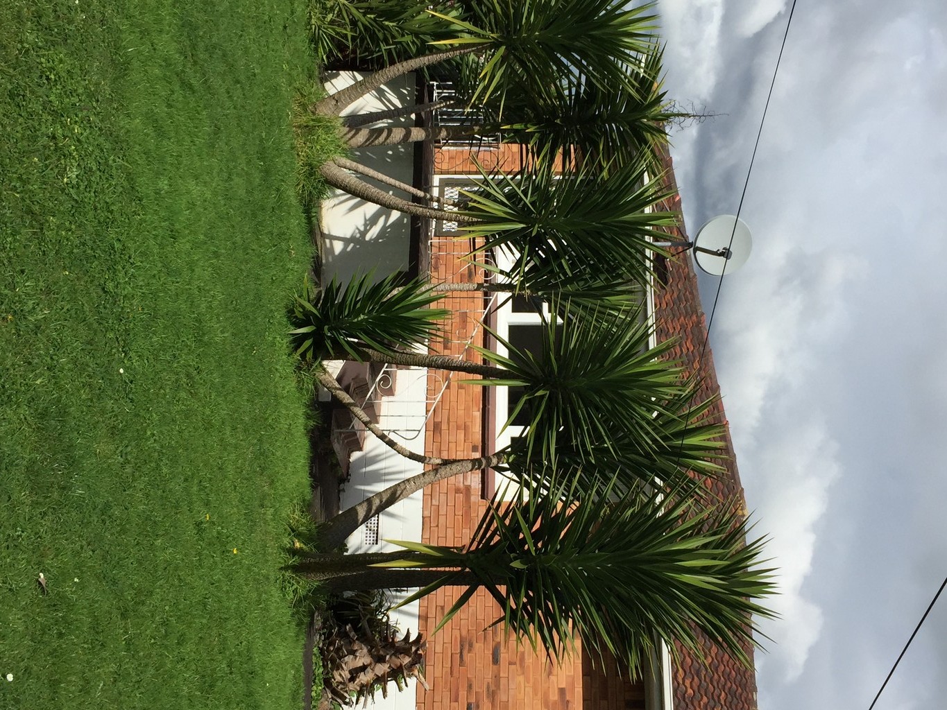 Panmure, Auckland City