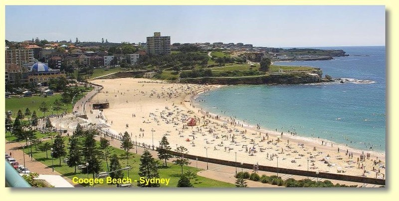 5/114 Coogee Bay Road, Coogee, NSW 2034