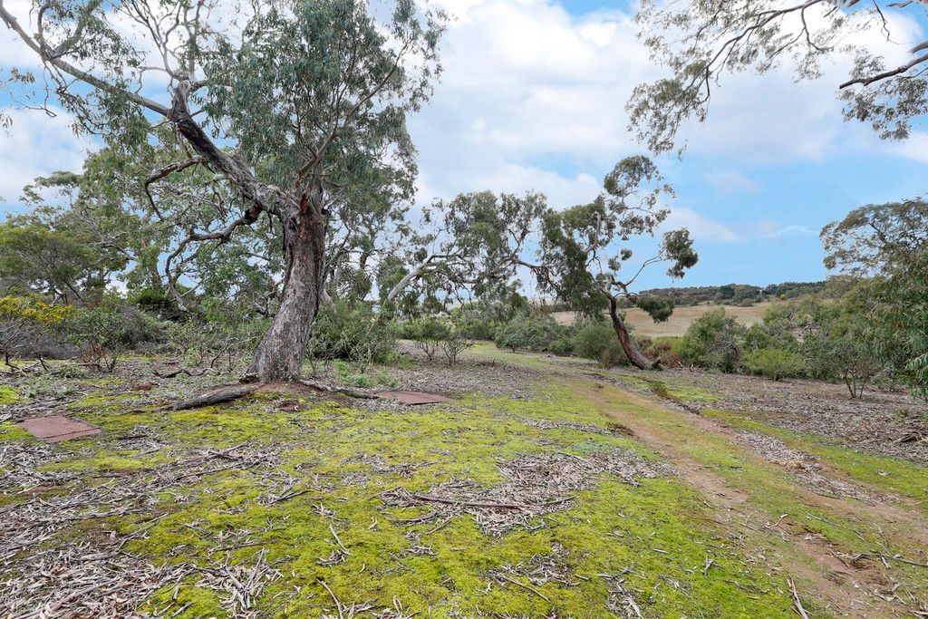 1804 Hamilton Highway, MURGHEBOLUC, VIC 3218