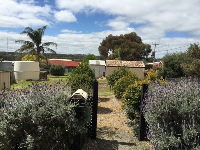 12 West Terrace, Clare, SA 5453