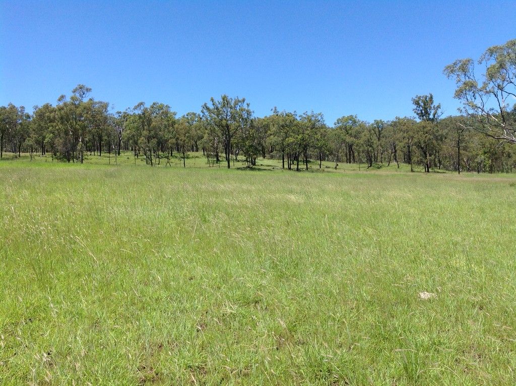 372 Gilmore Road, Upper Pilton, QLD 4361 Sold Rural Livestock