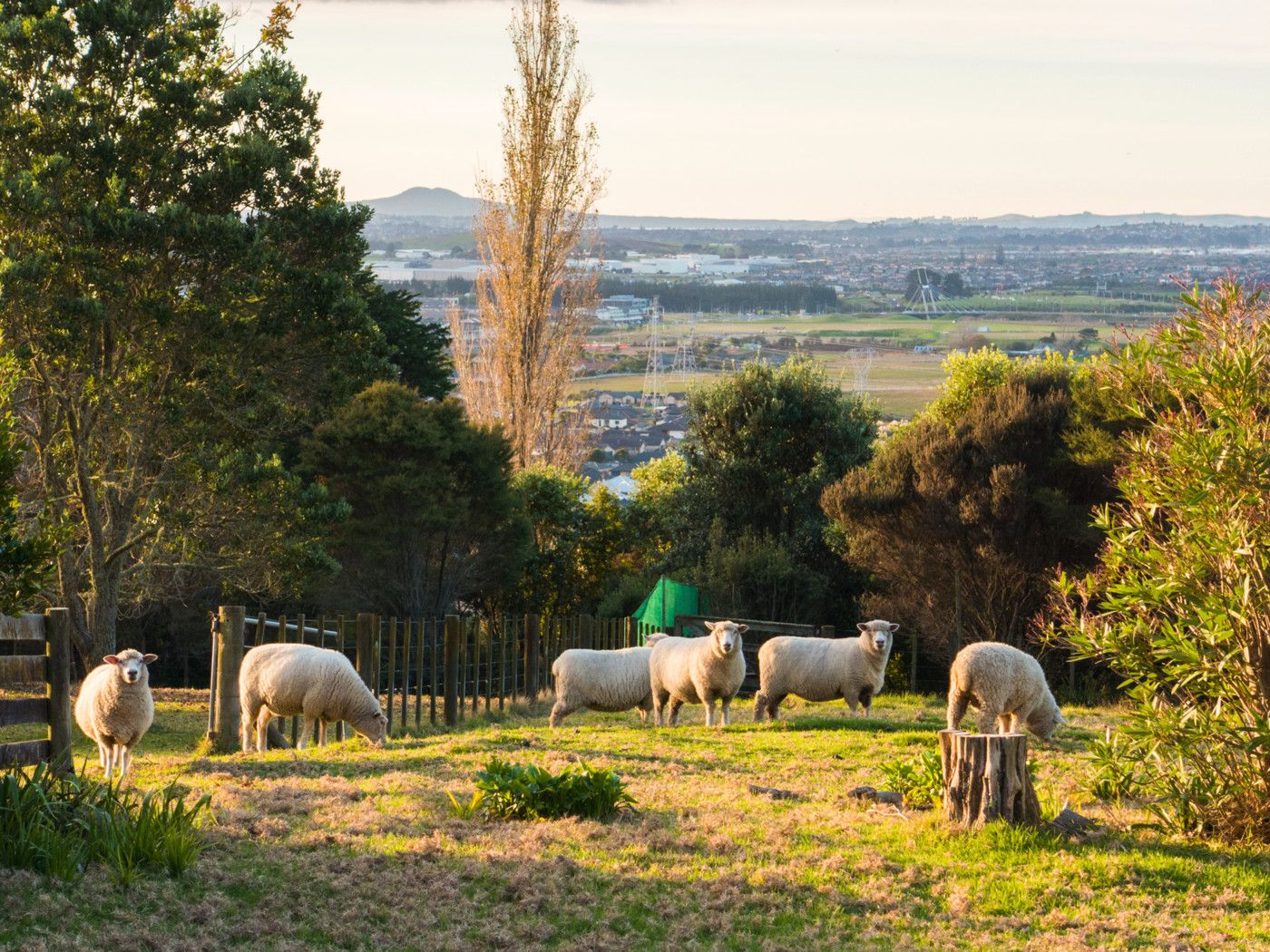 176 Redoubt Road, Flat Bush, Manukau City