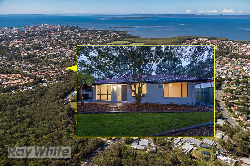 14 Capricorn Drive, Cleveland QLD 4163
