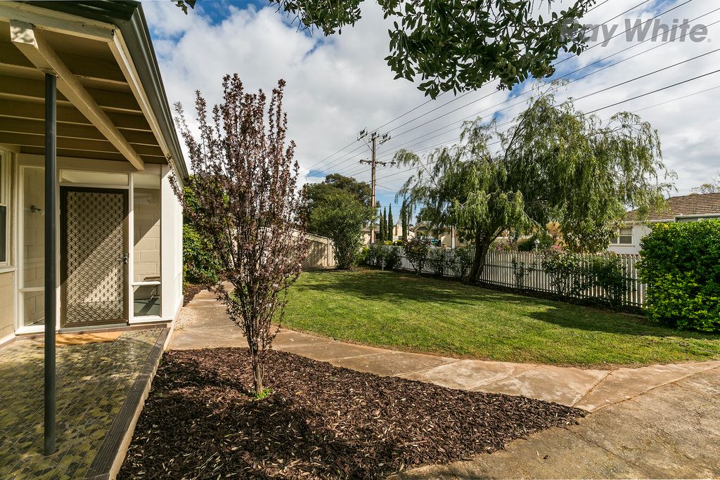 43 Johnstone Road, Oaklands Park, SA 5046