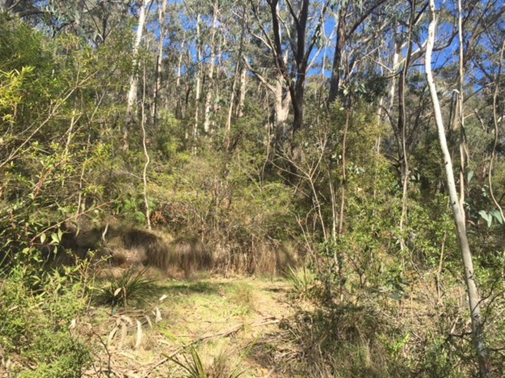 11 Victoria Street, Mount Victoria, NSW 2786