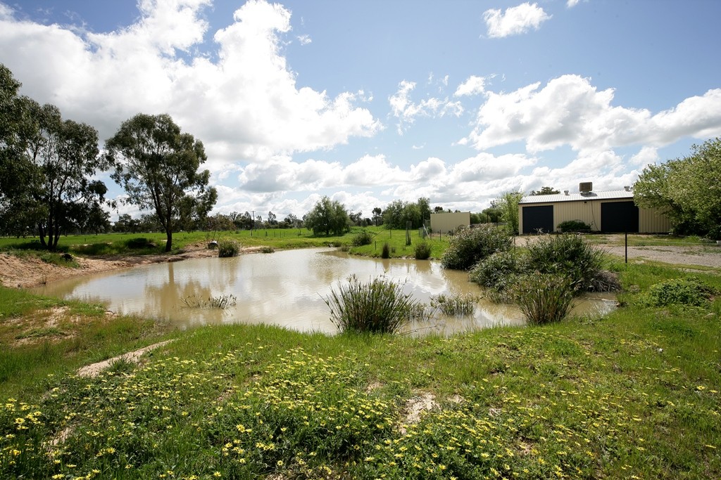 60-62 Cleek Street, Currawarna, NSW 2650