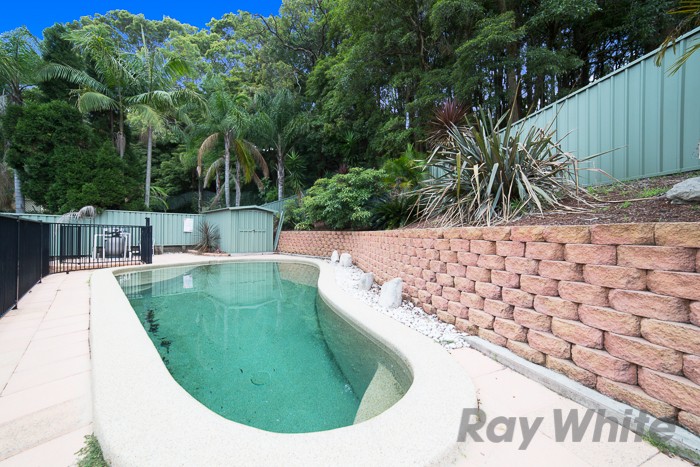 37 Holly Circuit, New Lambton Heights, NSW 2305
