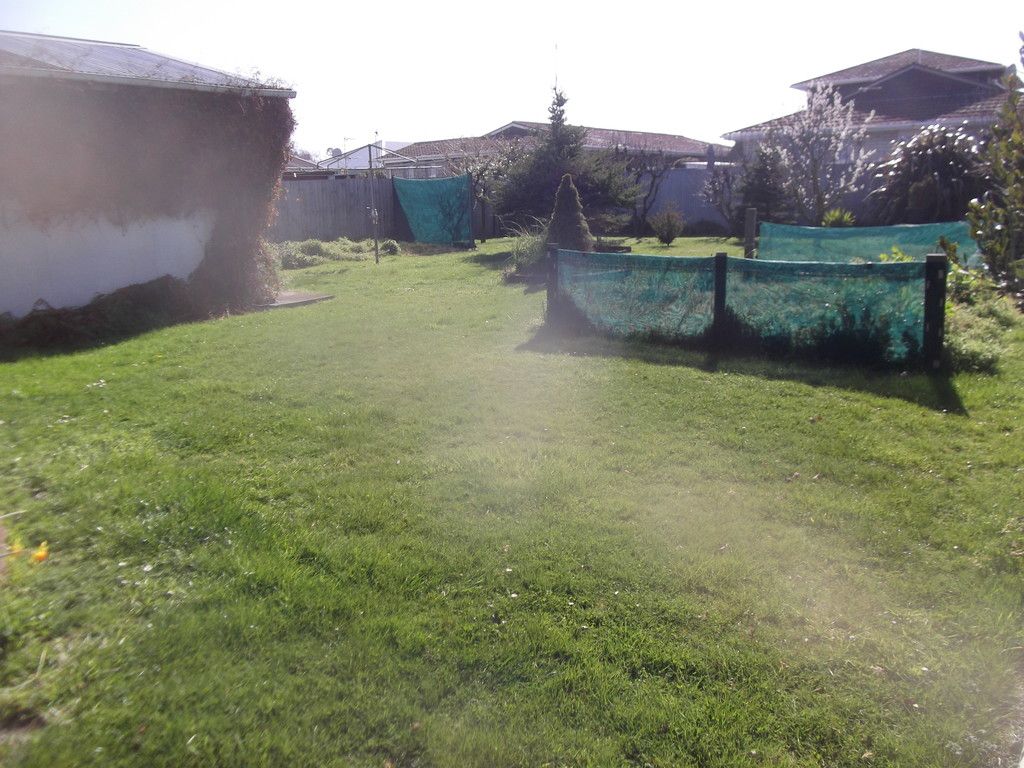 38 Sylvan Street, Hillmorton, Christchurch City