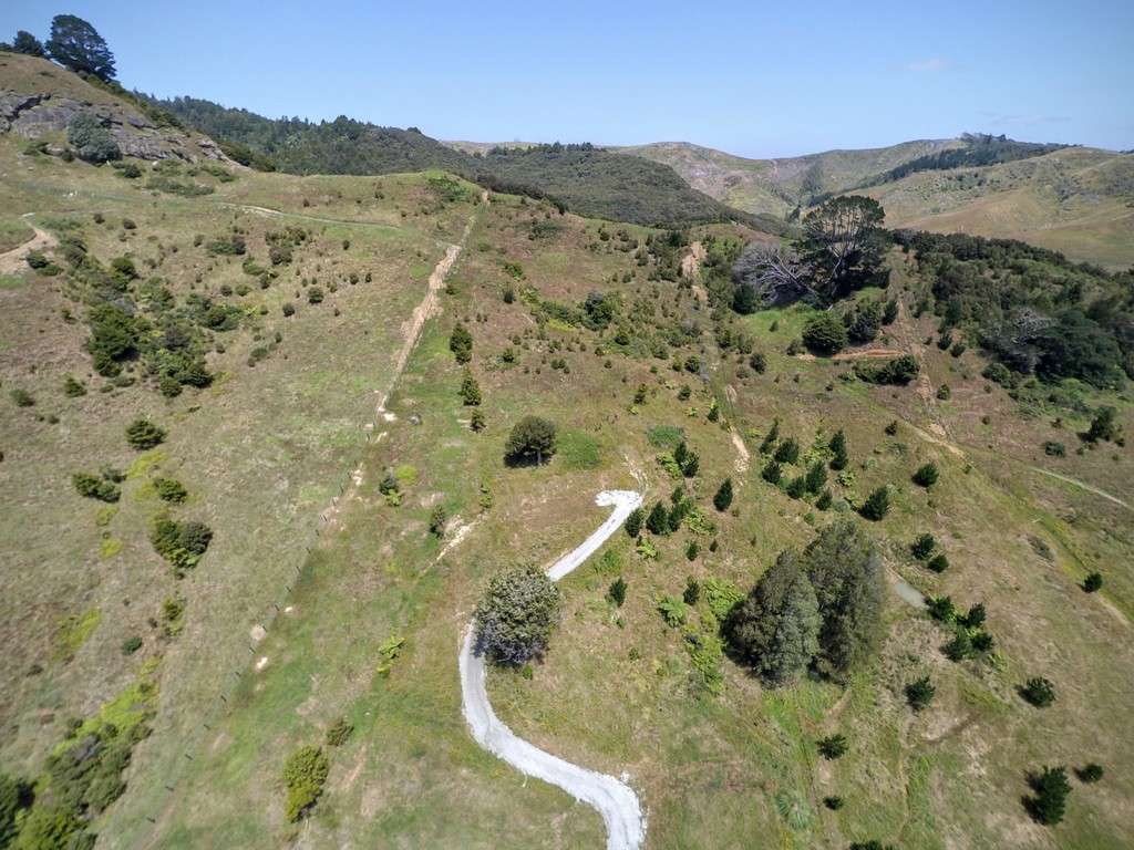 320 Ahuroa Valley Road, Ahuroa, Rodney Real Estate Ray White New Zealand