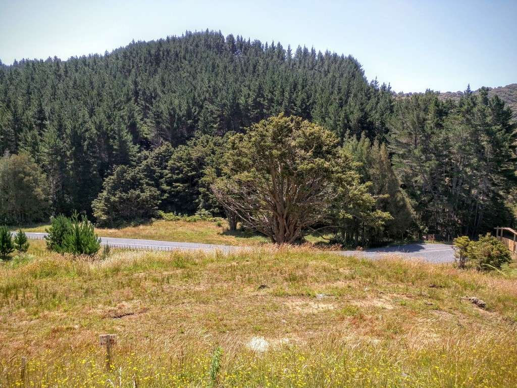 320 Ahuroa Valley Road, Ahuroa, Rodney Real Estate Ray White New Zealand