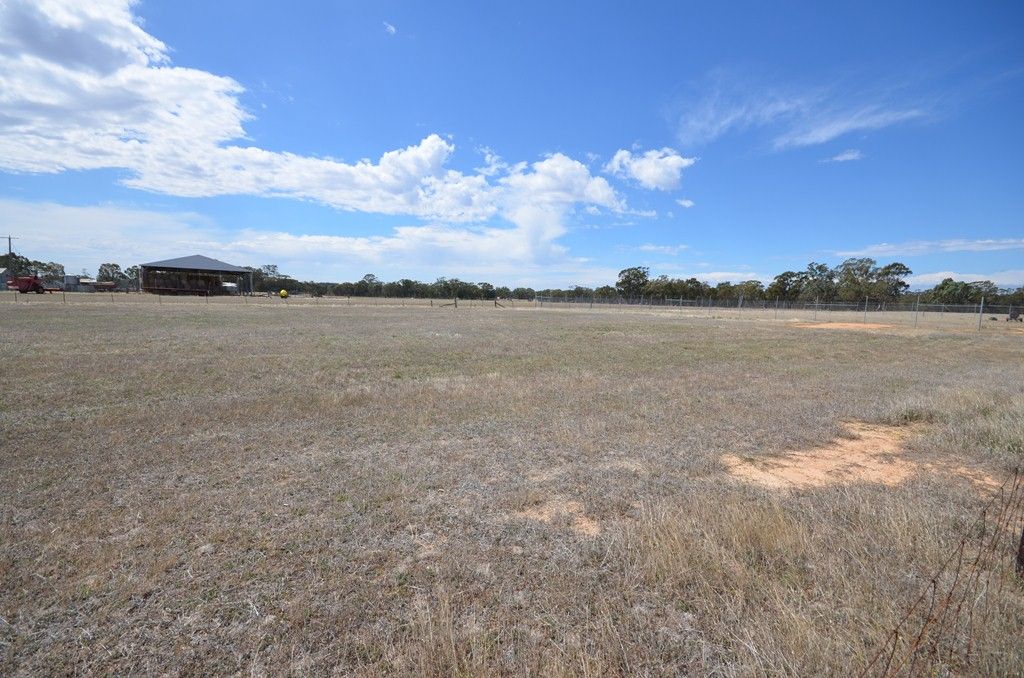 11 Blackney Drive, Avoca, VIC 3467