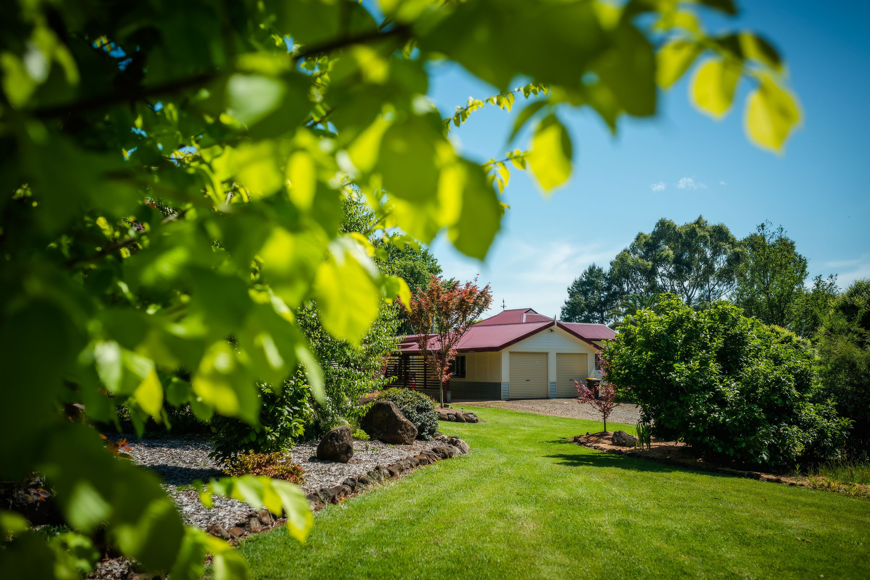 695 Tyringham Road, Dorrigo, NSW 2453