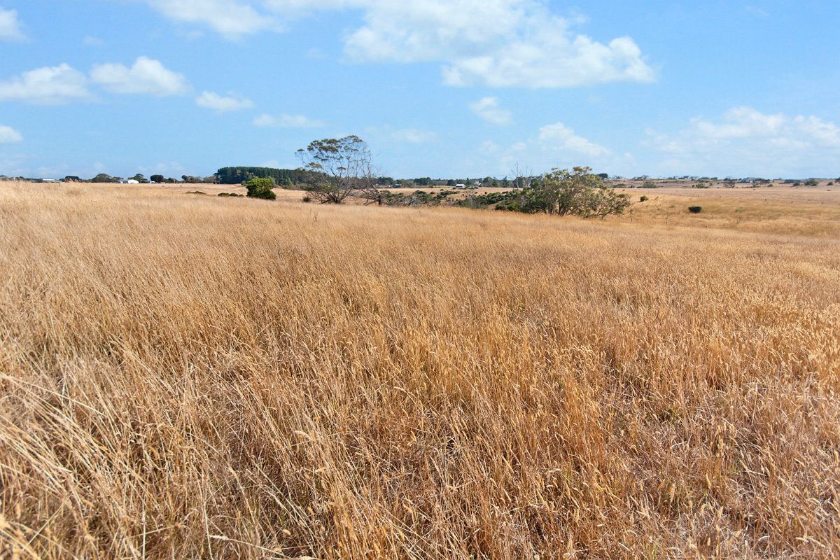 28 Acres Ellerslie Panmure Road, Framlingham, VIC 3265