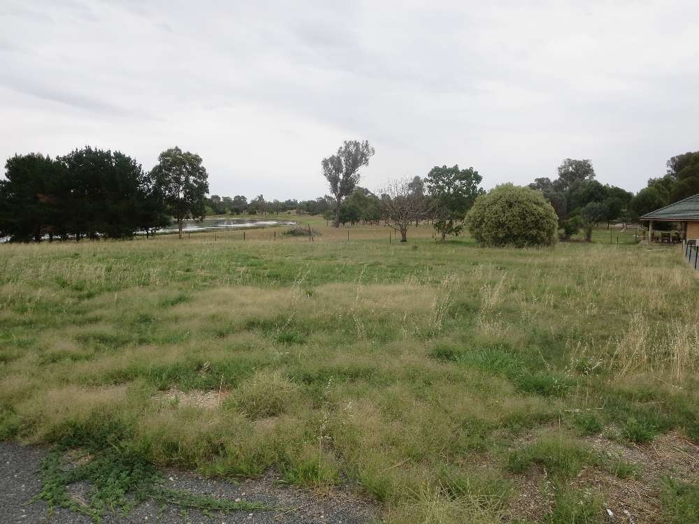 21 Clive Court, Table Top, NSW 2640