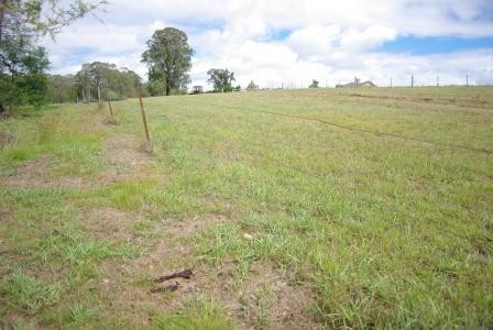 East Kurrajong, NSW 2758