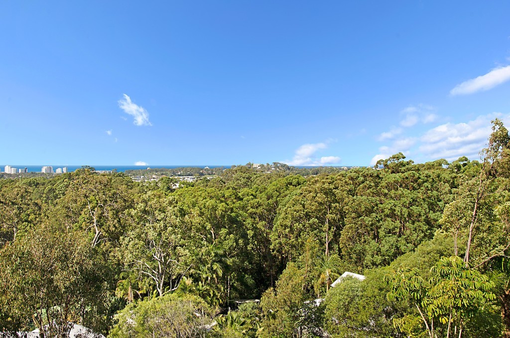 16 Mayfair Lane, Buderim, QLD 4556