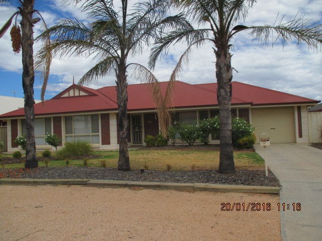 10 Huckstepp Court, Berri, SA 5343