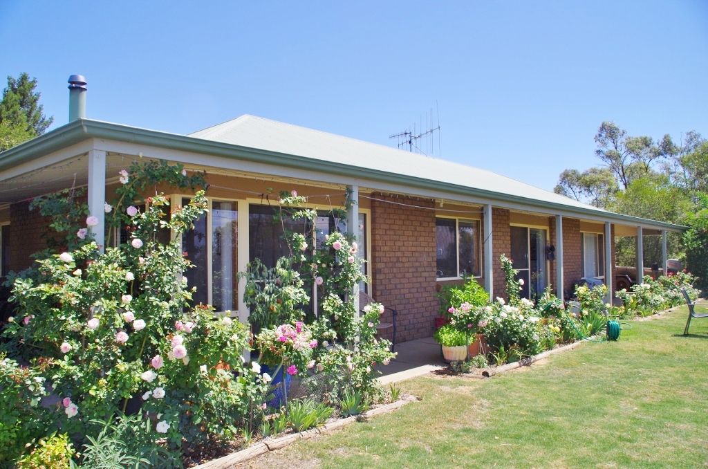 160 Pike Creek Road, Lyrup Heights, Lyrup, SA 5343
