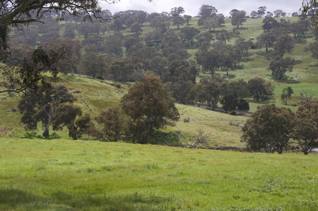 Lot 203 Petwood Road, Nairne, SA 5252