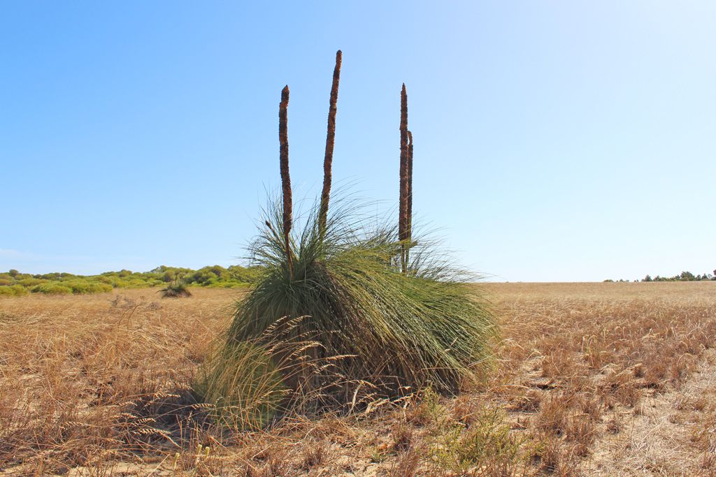 Lot 235 Zendora Road, Jurien Bay, WA 6516