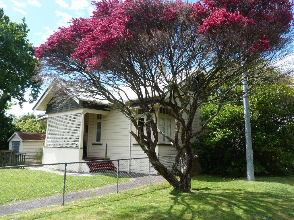 48 Te Aroha Street, Hamilton East, Hamilton City